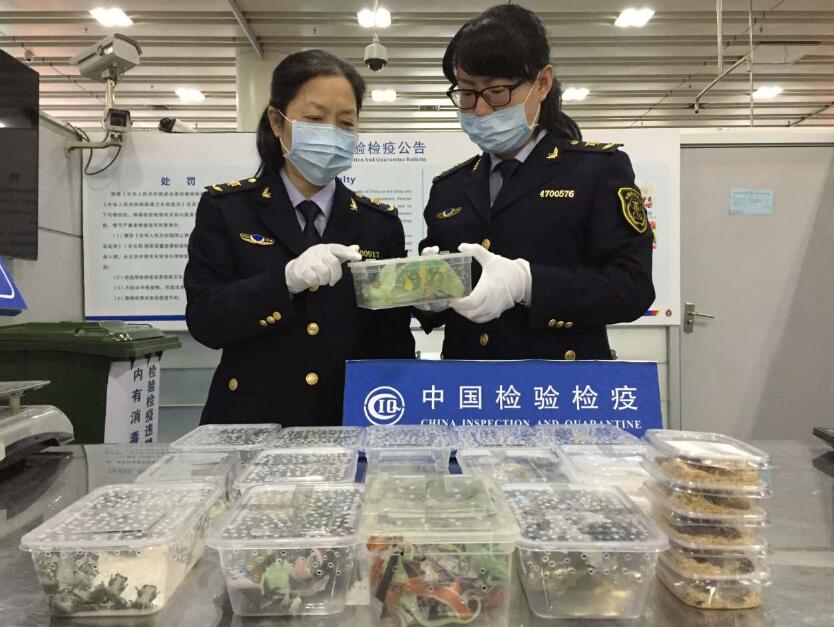 深圳北深圳福田口岸预约车接送